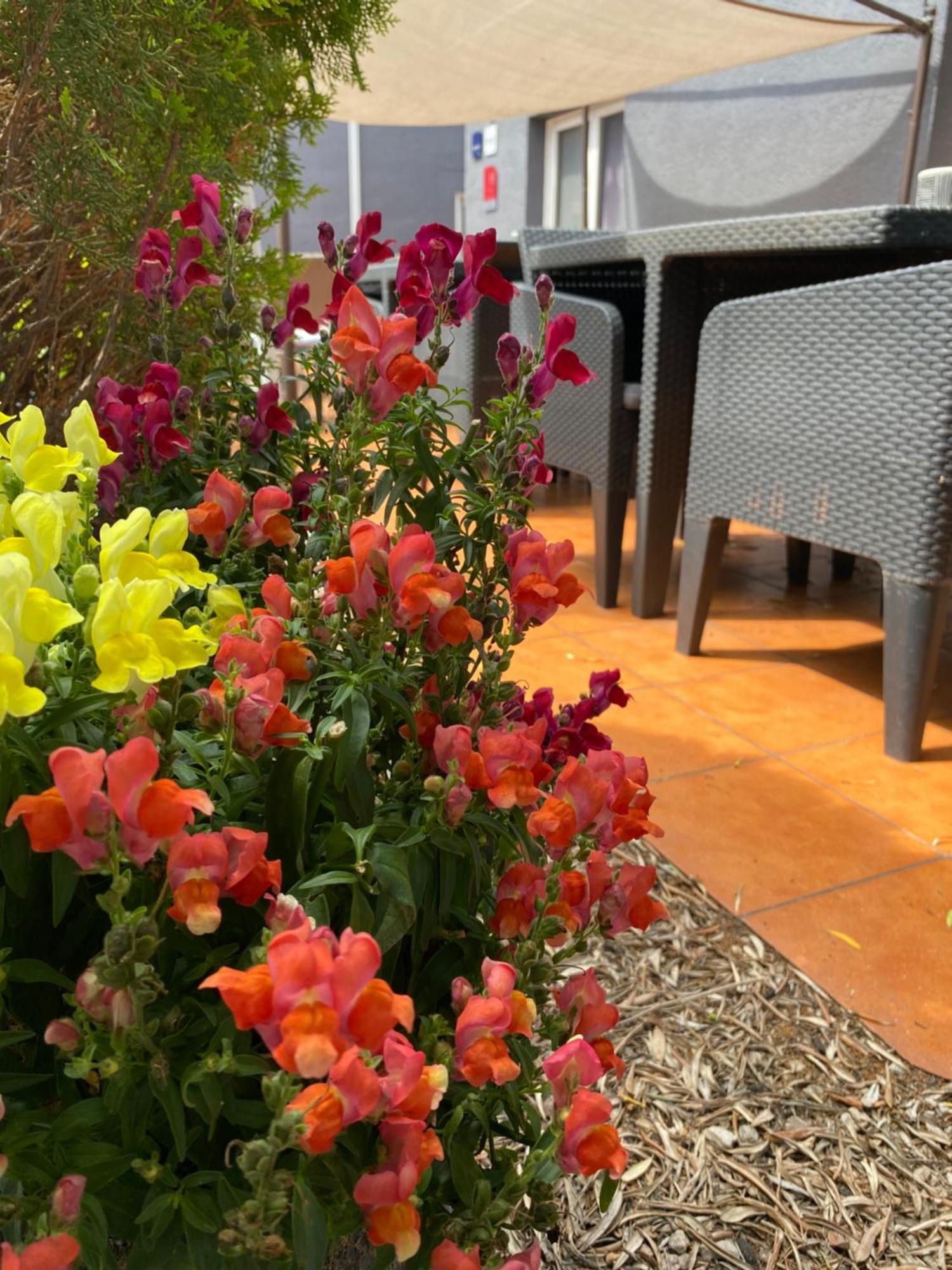 Contact Hotel Le Sud Montpellier Aeroport Parc Expo Arena Могио Экстерьер фото